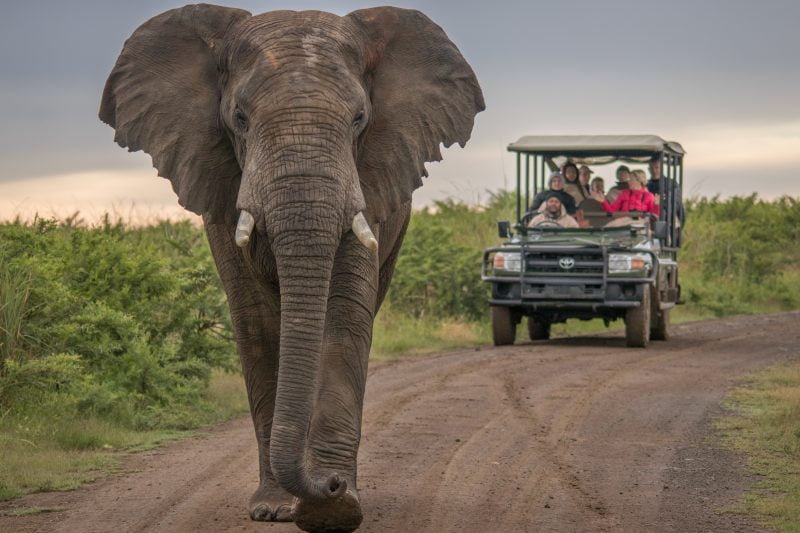 Addo Elephant National Park