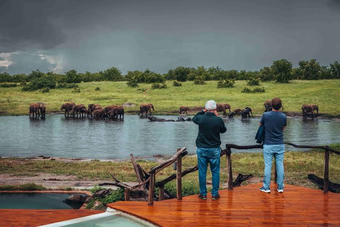 Hwange National Park Safari