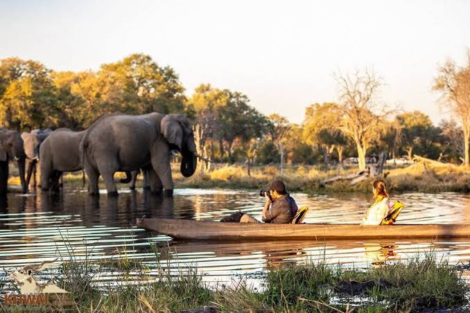 Okavango Delta Mokoro Ride