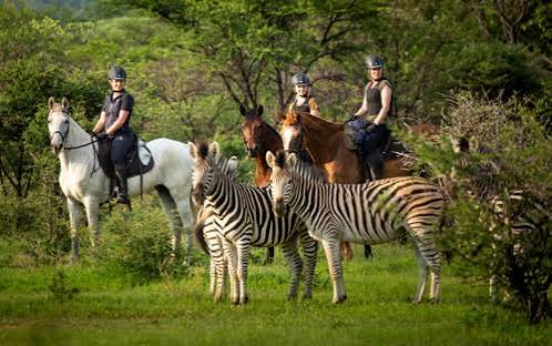 Waterberg Horseback Safari