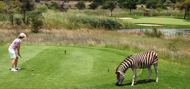 Elements Private Golf Reserve