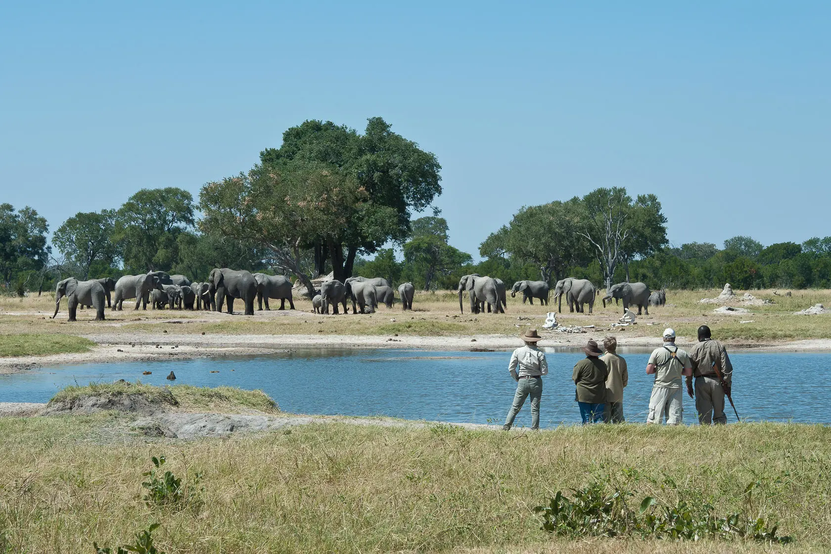 Gomoti Plains Camp — dining and hospitality
