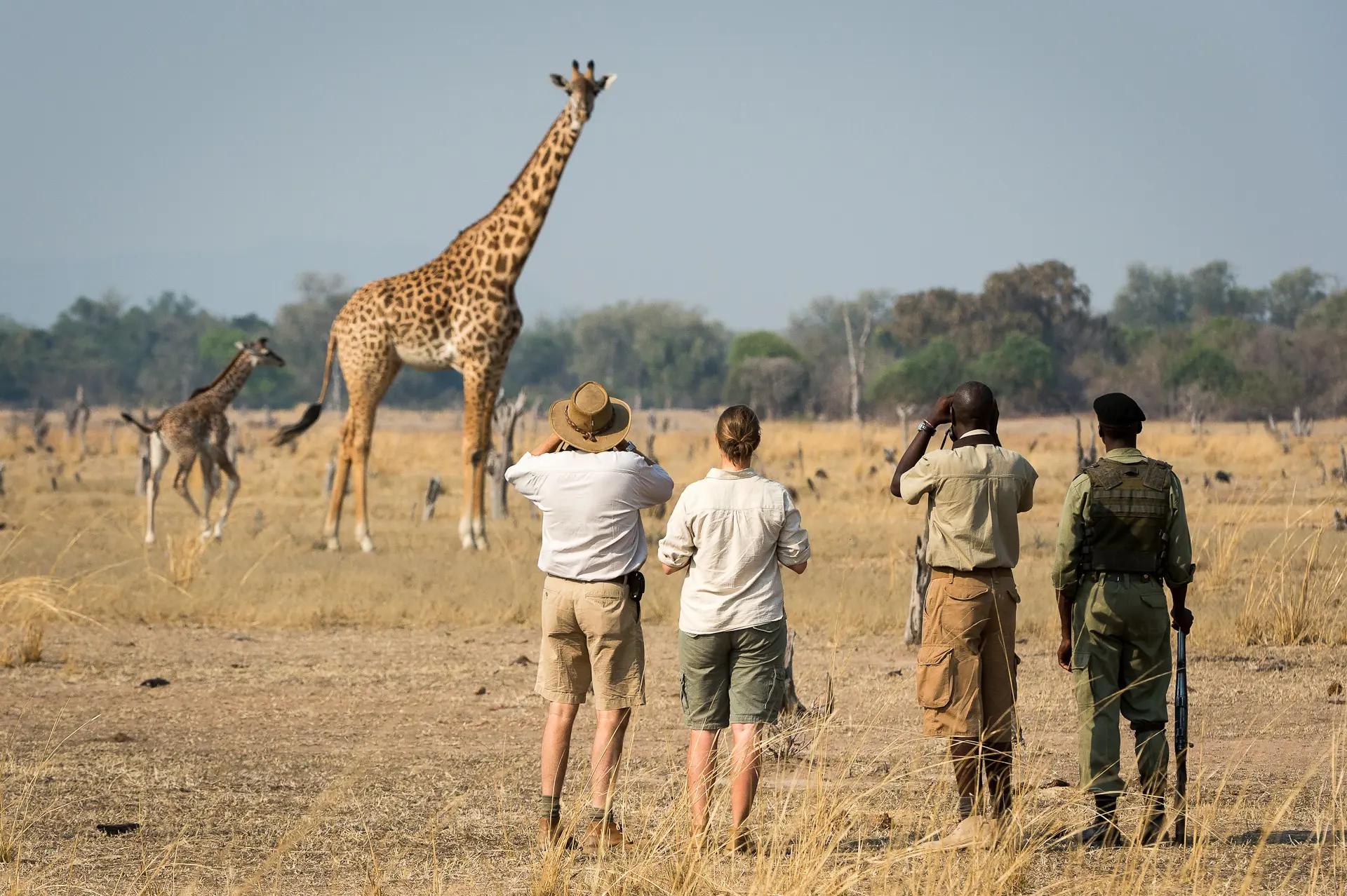 Gomoti Plains Camp — game drive and wildlife