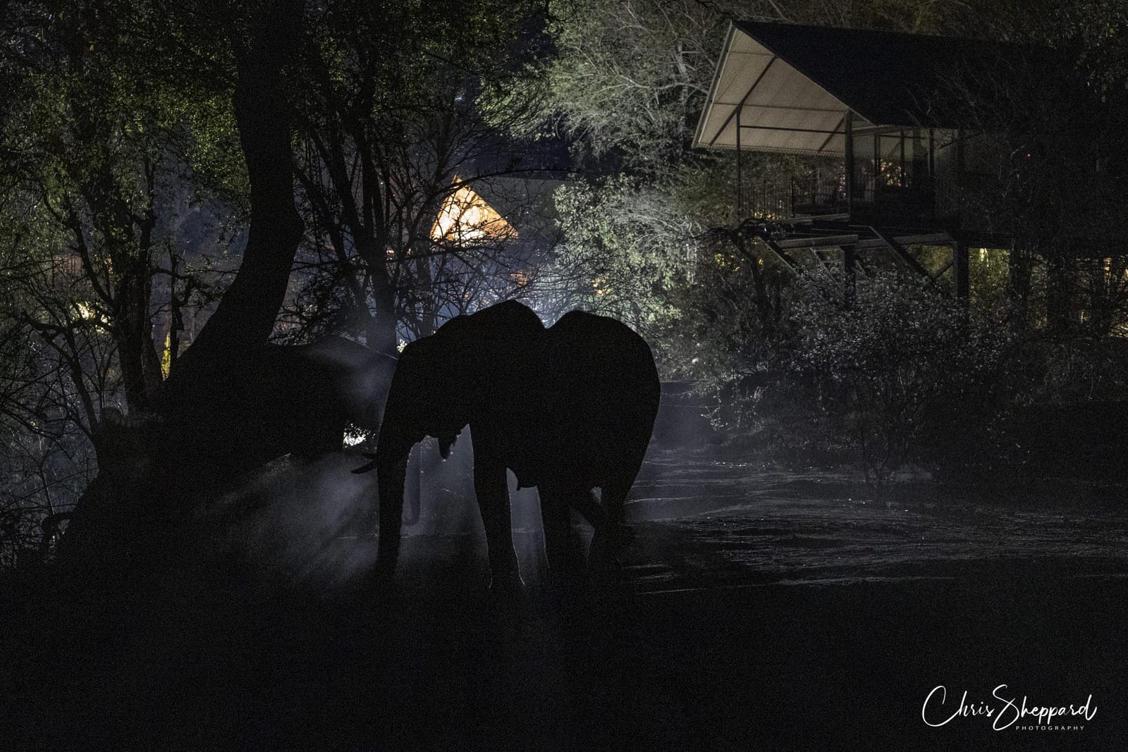 Kavinga Safari Camp — game drive and wildlife