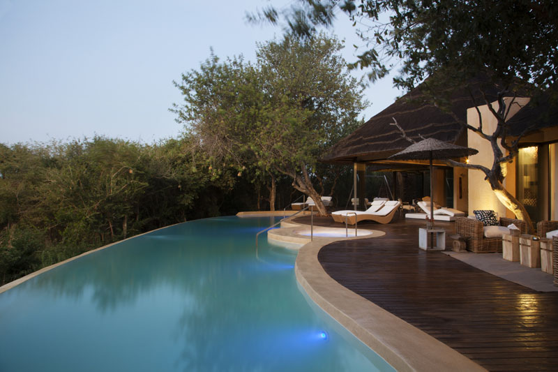 Molori Safari Lodge — game drive and wildlife