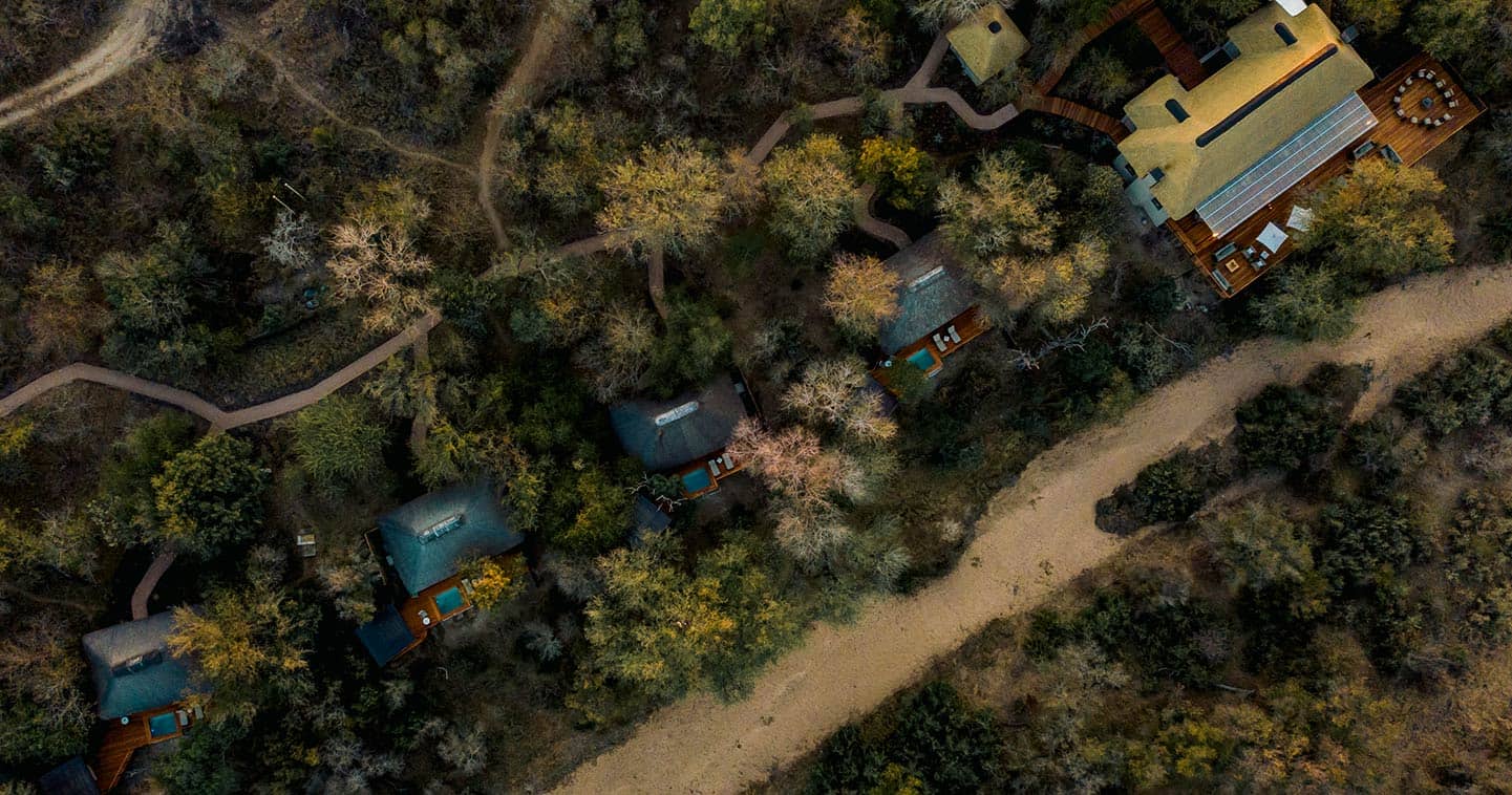 Simbambili Game Lodge — game drive and wildlife